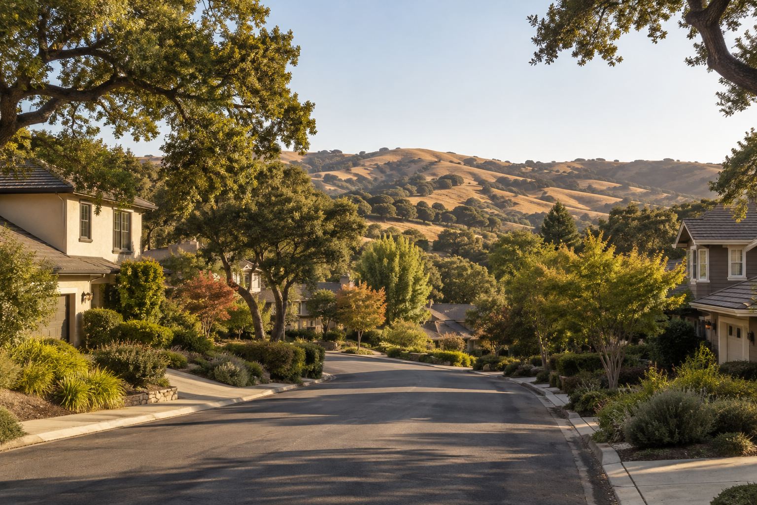 Novato